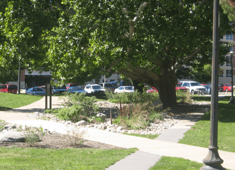 Red Oak Rain Garden as a “young” garden (Fall 2007)