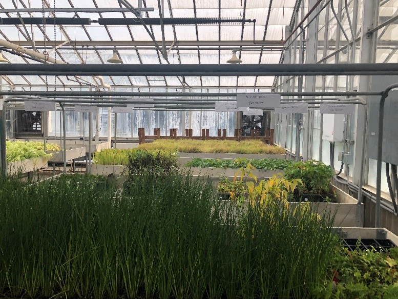 A large building

Description automatically generated