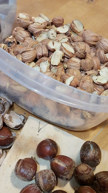 Filling up the bowl.