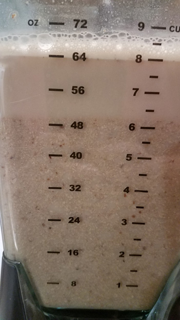 Put acorns blender and fill with water.