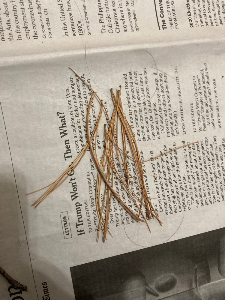 First, gather the pine needles together