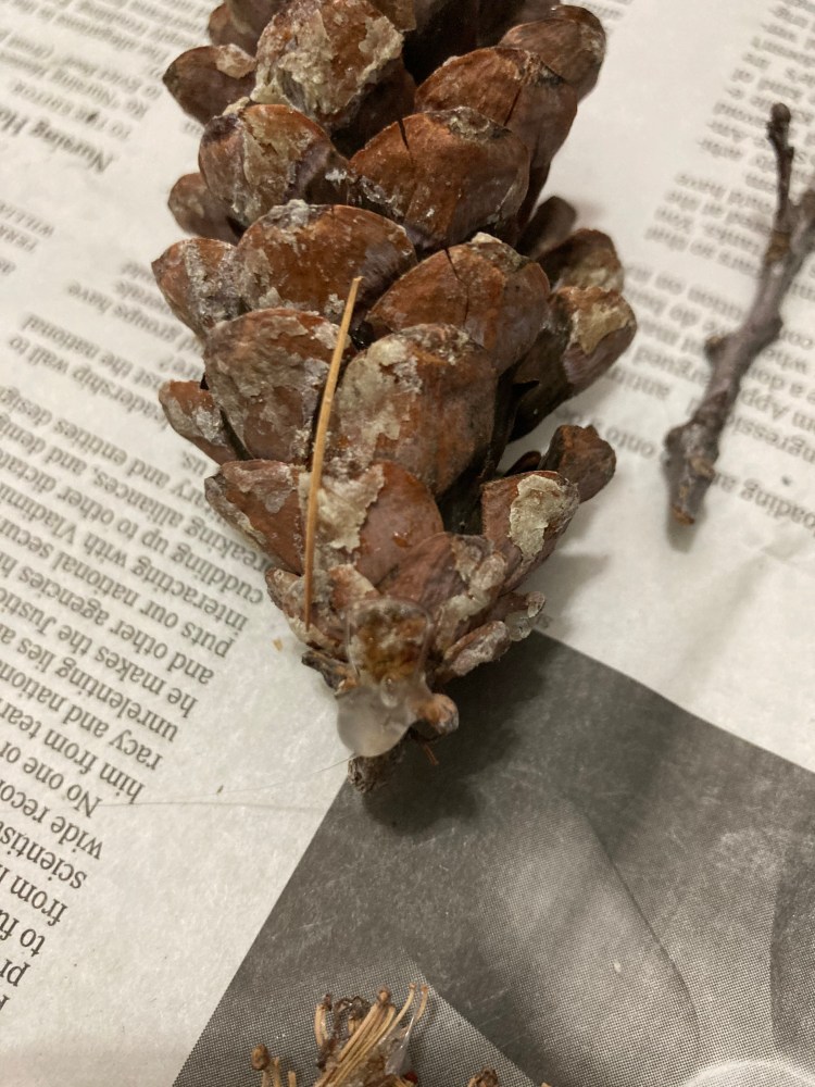 Put a decent sized glob of glue on the end on the pine cone