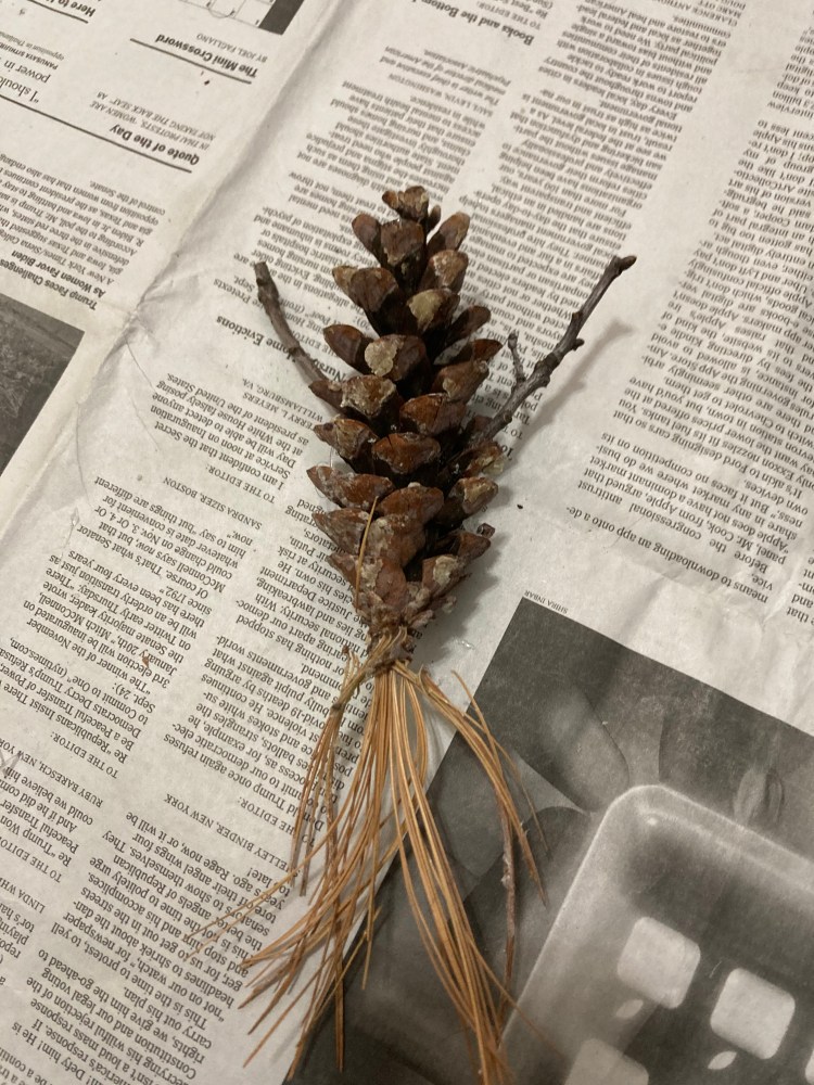 This is what it should look like with both arms glued in.