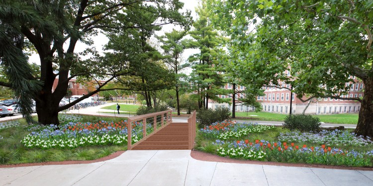 Rendering of RORG's spring ephemerals