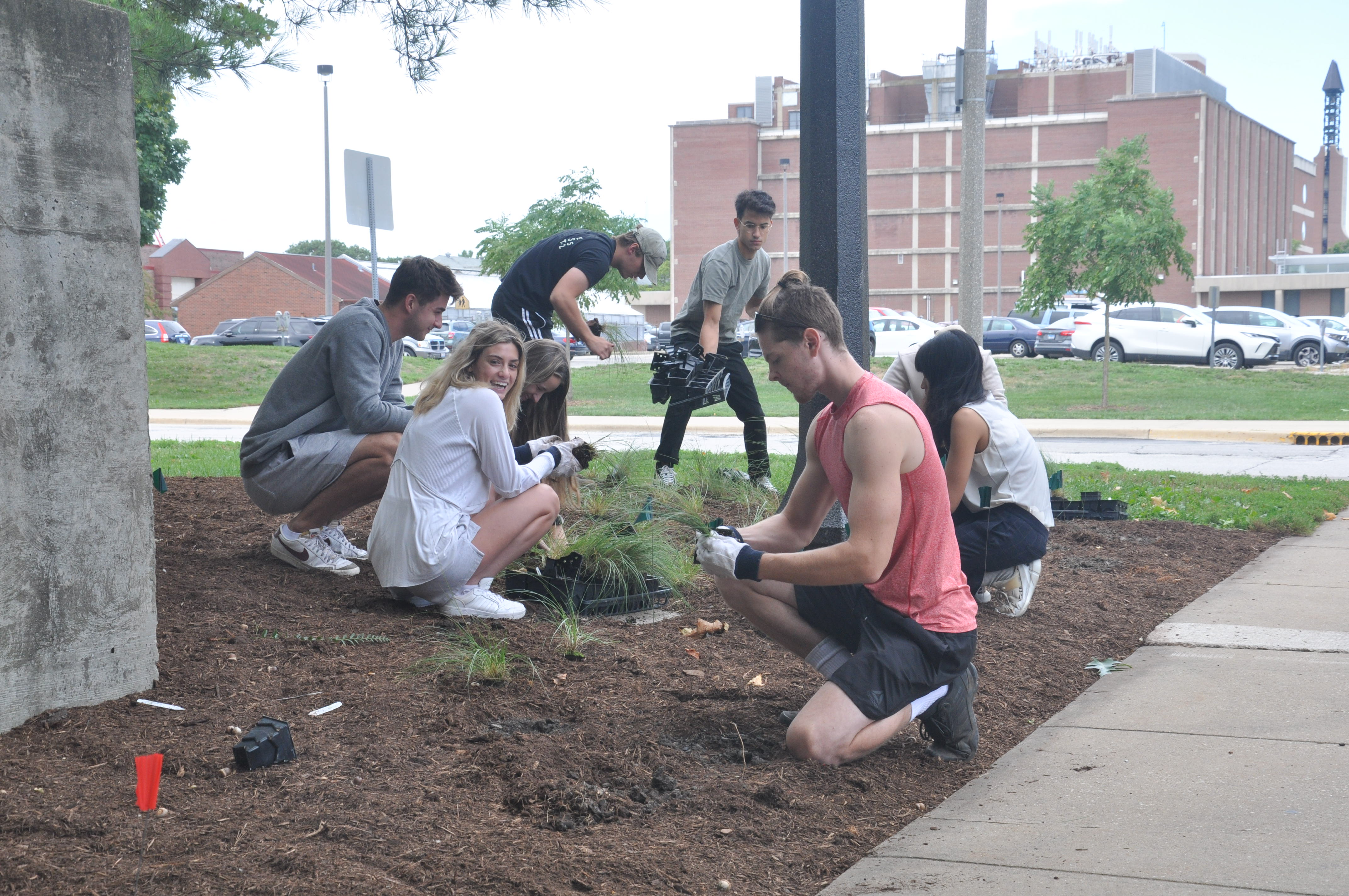 Student volunteers hard at work in the garden.