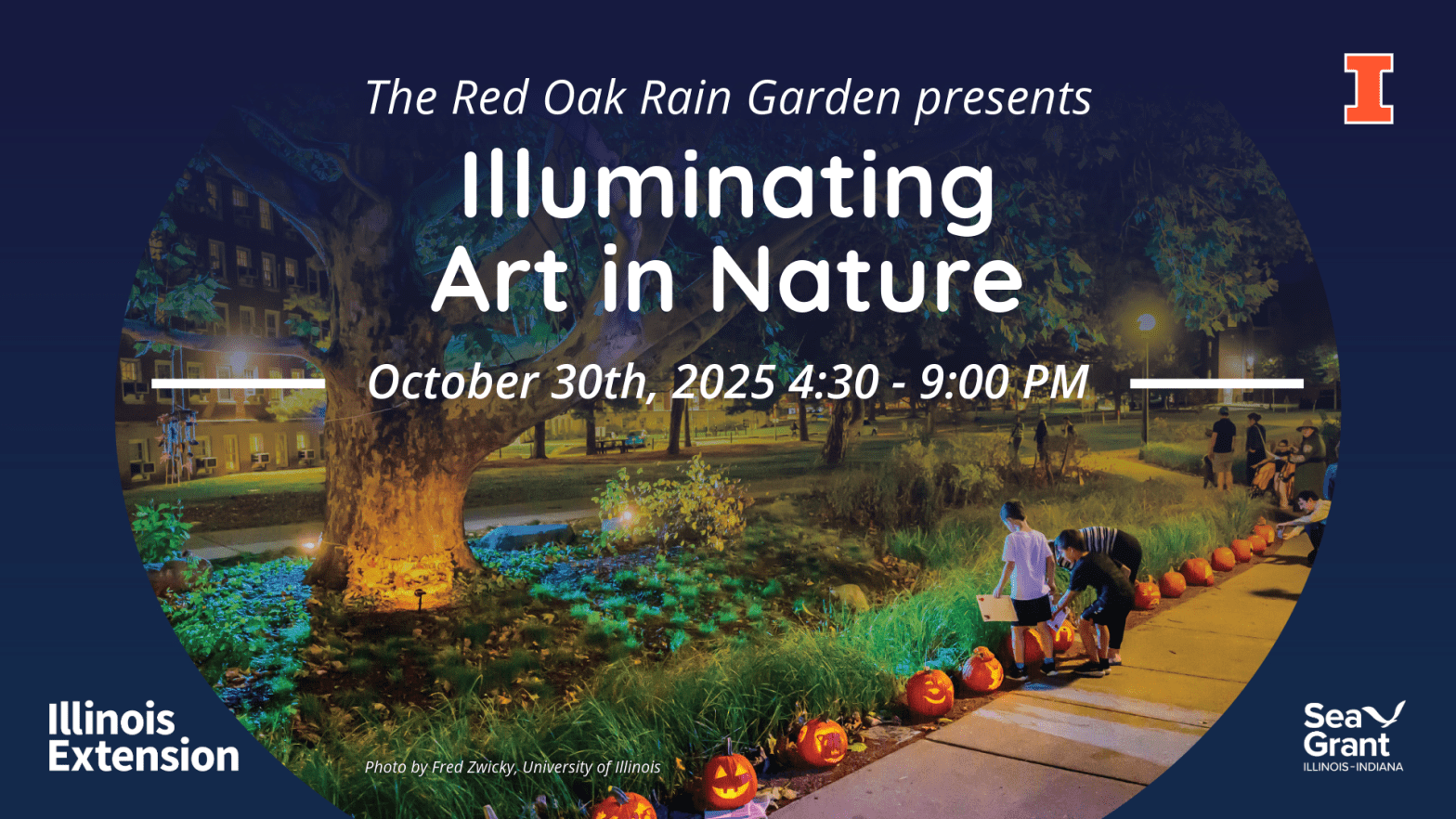 Red Oak Rain Garden Presents Illuminating Art in Nature, October 30, 2025 4:30 - 9:00 PM. Photo by Fred Zwicky, University of Illinois