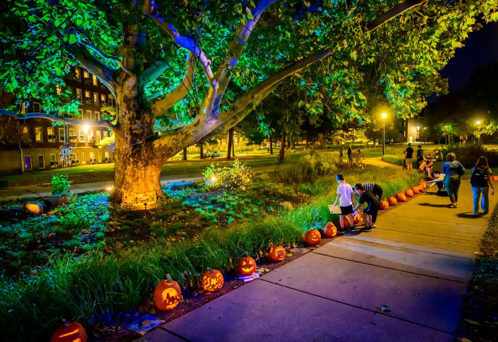 The Red Oak Rain Garden at night, lit by glowing jack-o'-lanterns and spotlights on art installations, with families walking the sidewalk and viewing the displays.