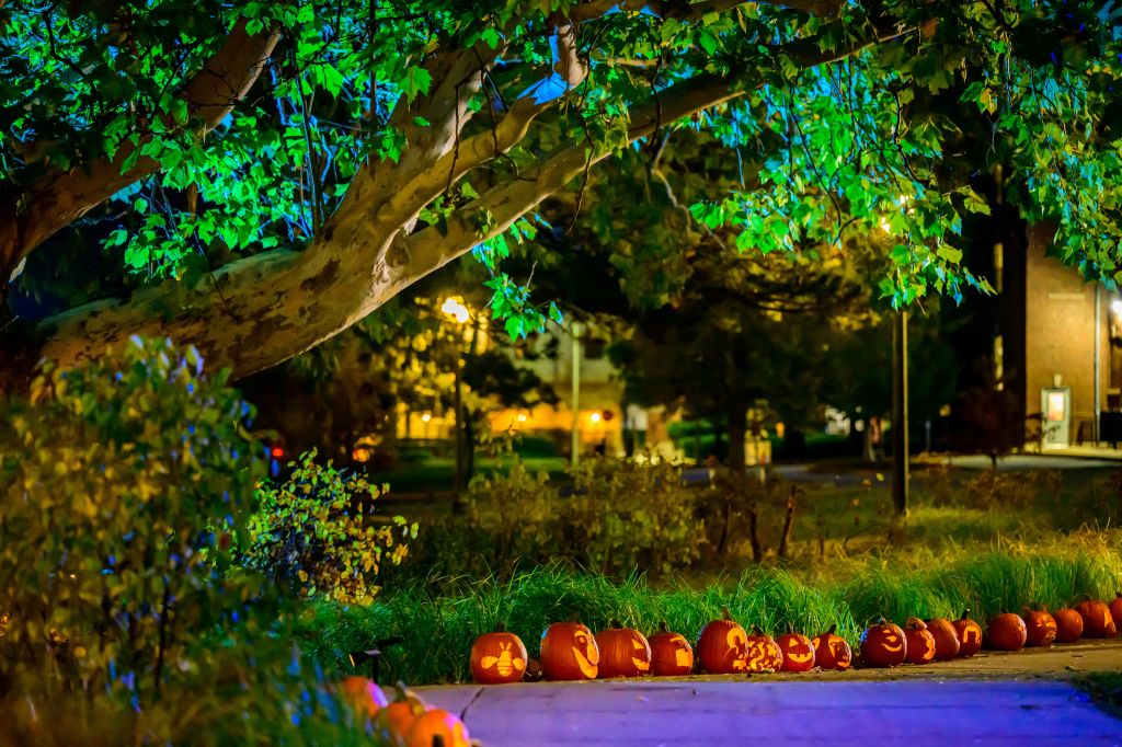 Glowing jack-o'-lanterns line the sidewalks of the Red Oak Rain Garden.