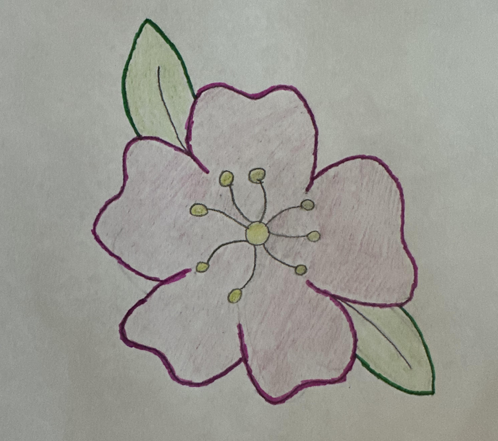 drawing of a pink flower with green leaves