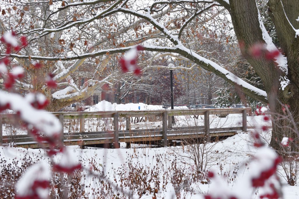 The Red Oak Rain Garden bridge and plants are covered in snow.