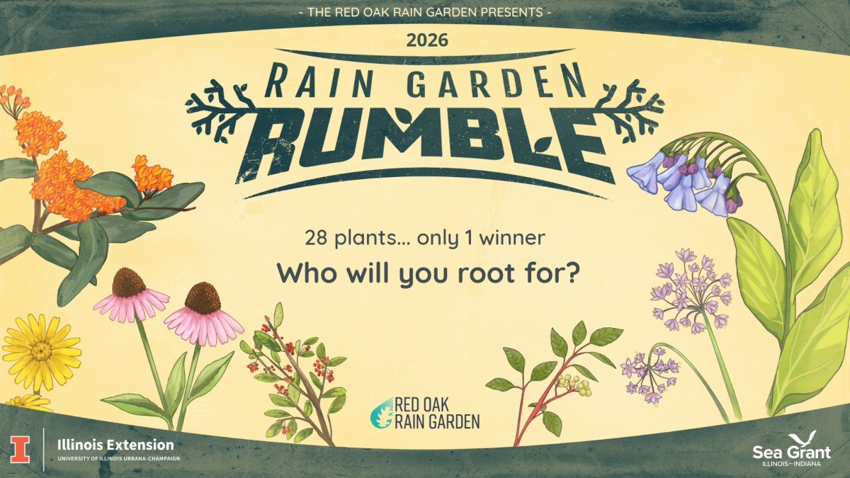 Rain Garden Rumble&nbsp;2026