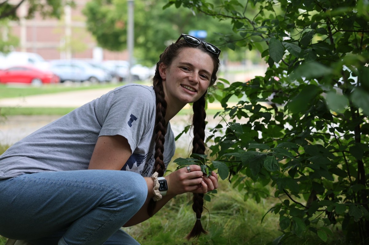 Summer 2026 IISG Stormwater Intern: Traci&nbsp;Bennett
