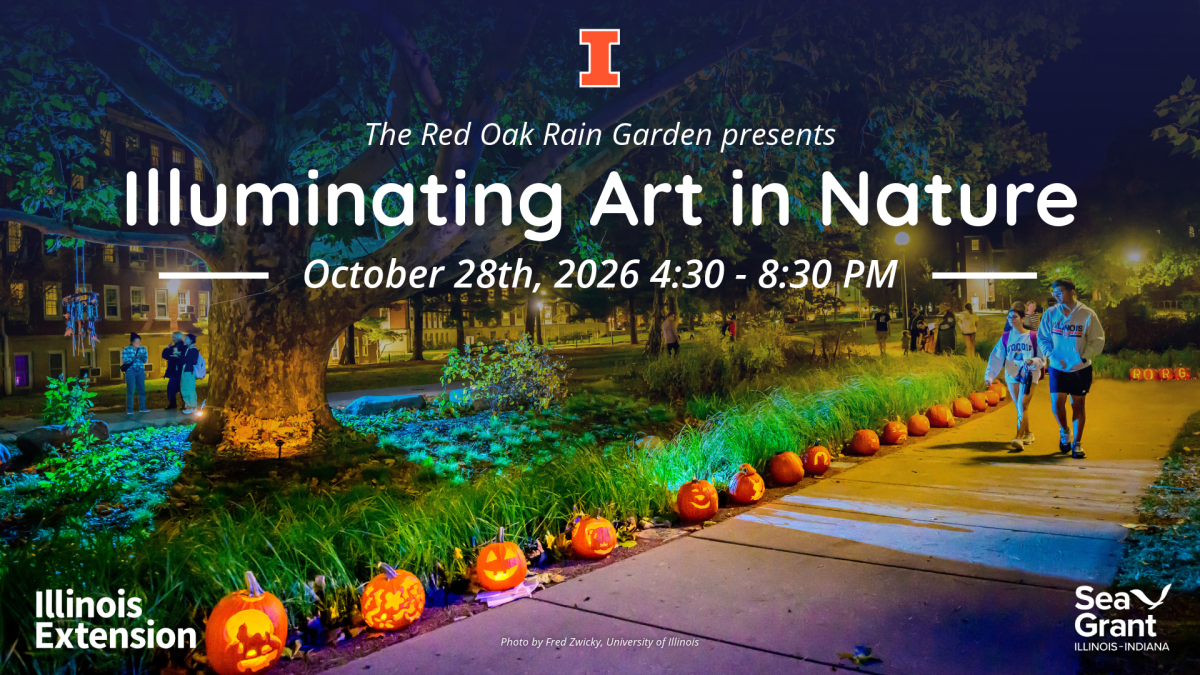 Illuminating Art in Nature&nbsp;2026